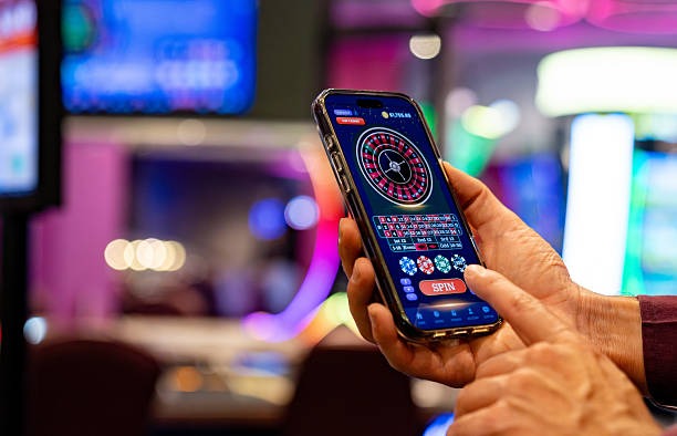 vivo500 What You'll Find Here